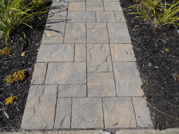 Stamped Concrete Staining in Los Gatos